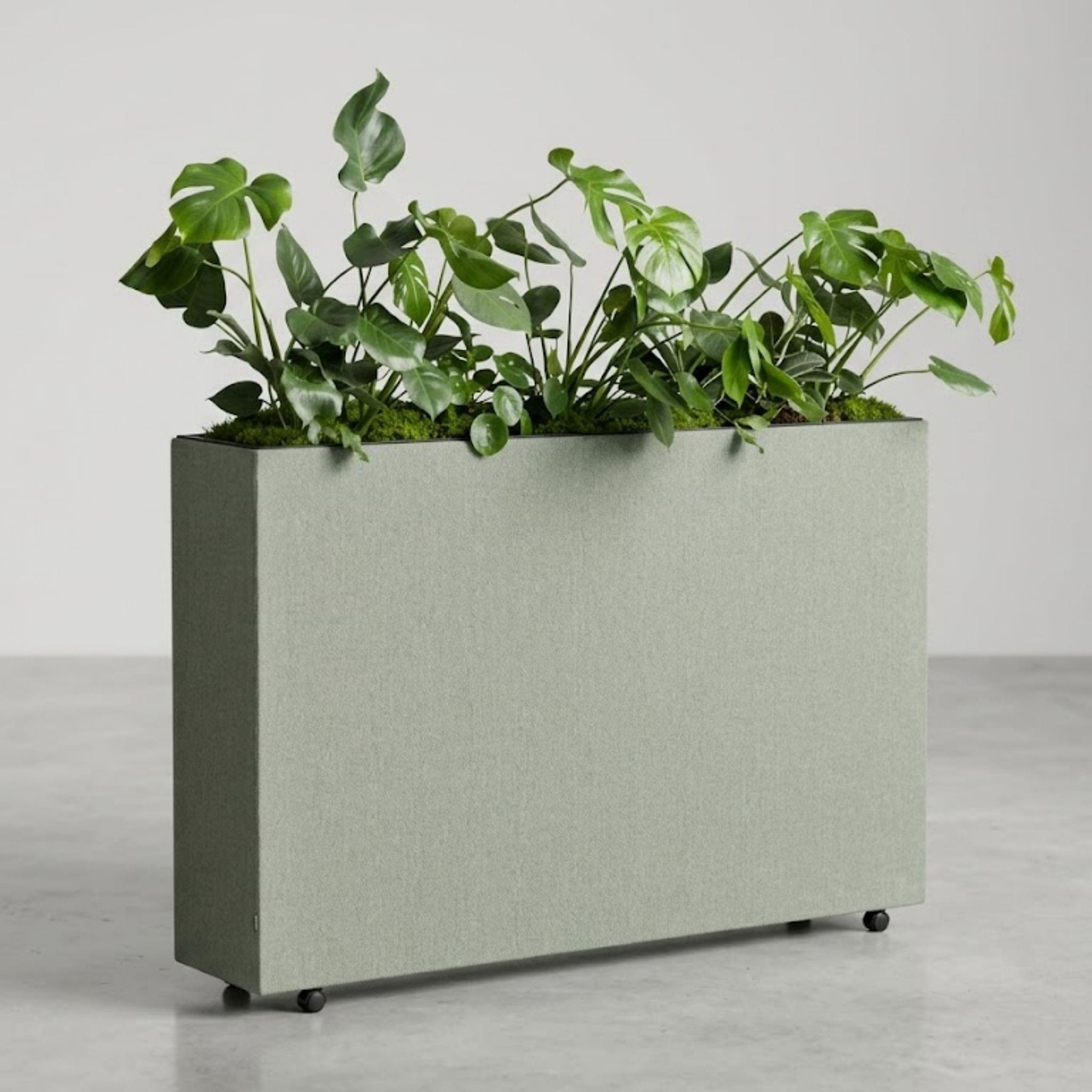 Moderne, geluidsabsorberende stoffen akoestische plantenbak op wieltjes, gevuld met Monstera planten.