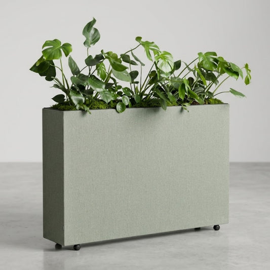 Moderne, geluidsabsorberende stoffen akoestische plantenbak op wieltjes, gevuld met Monstera planten.