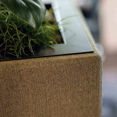 Moderne, geluidsabsorberende stoffen akoestische plantenbak op wieltjes, gevuld met Monstera planten.