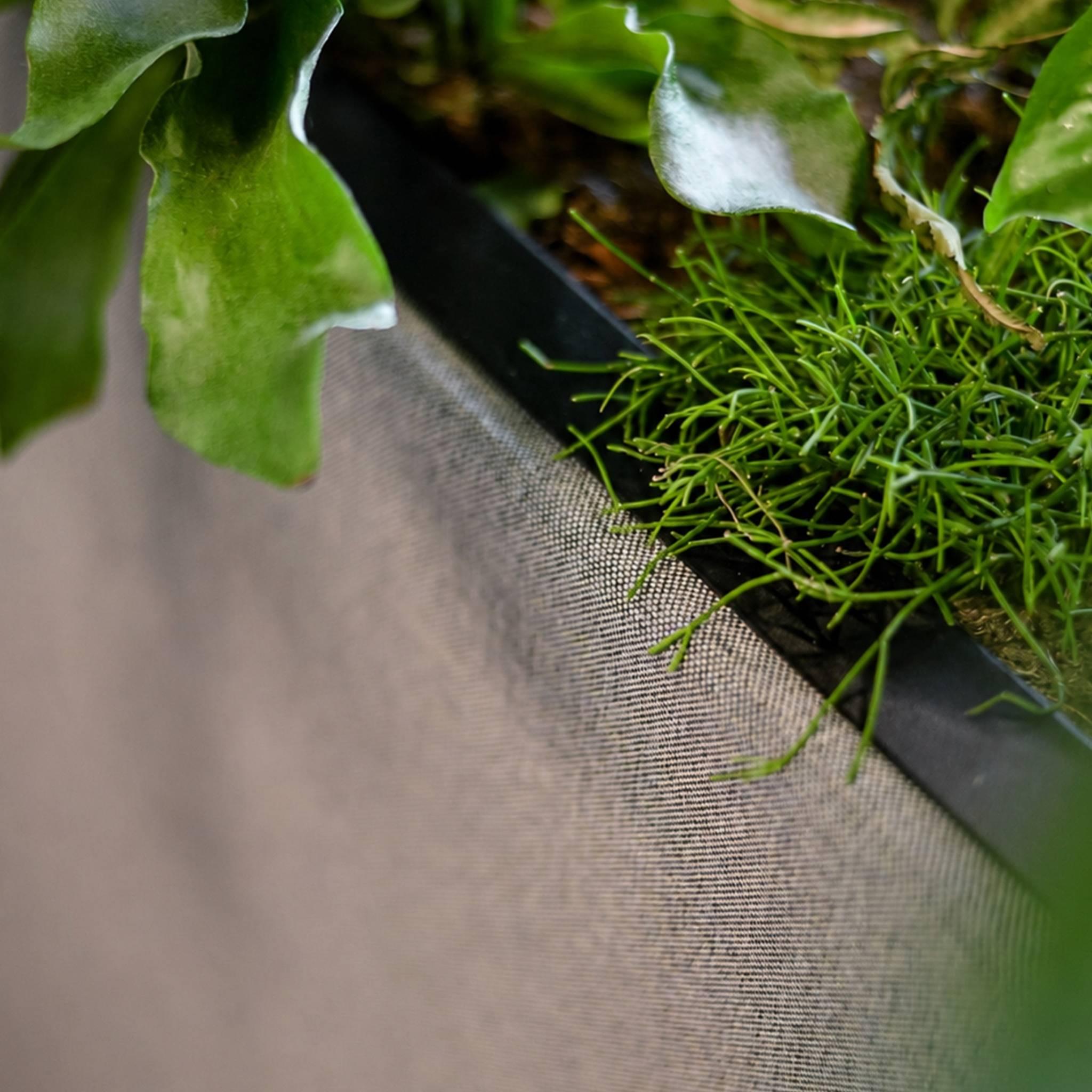 Moderne, geluidsabsorberende stoffen akoestische plantenbak op wieltjes, gevuld met Monstera planten.