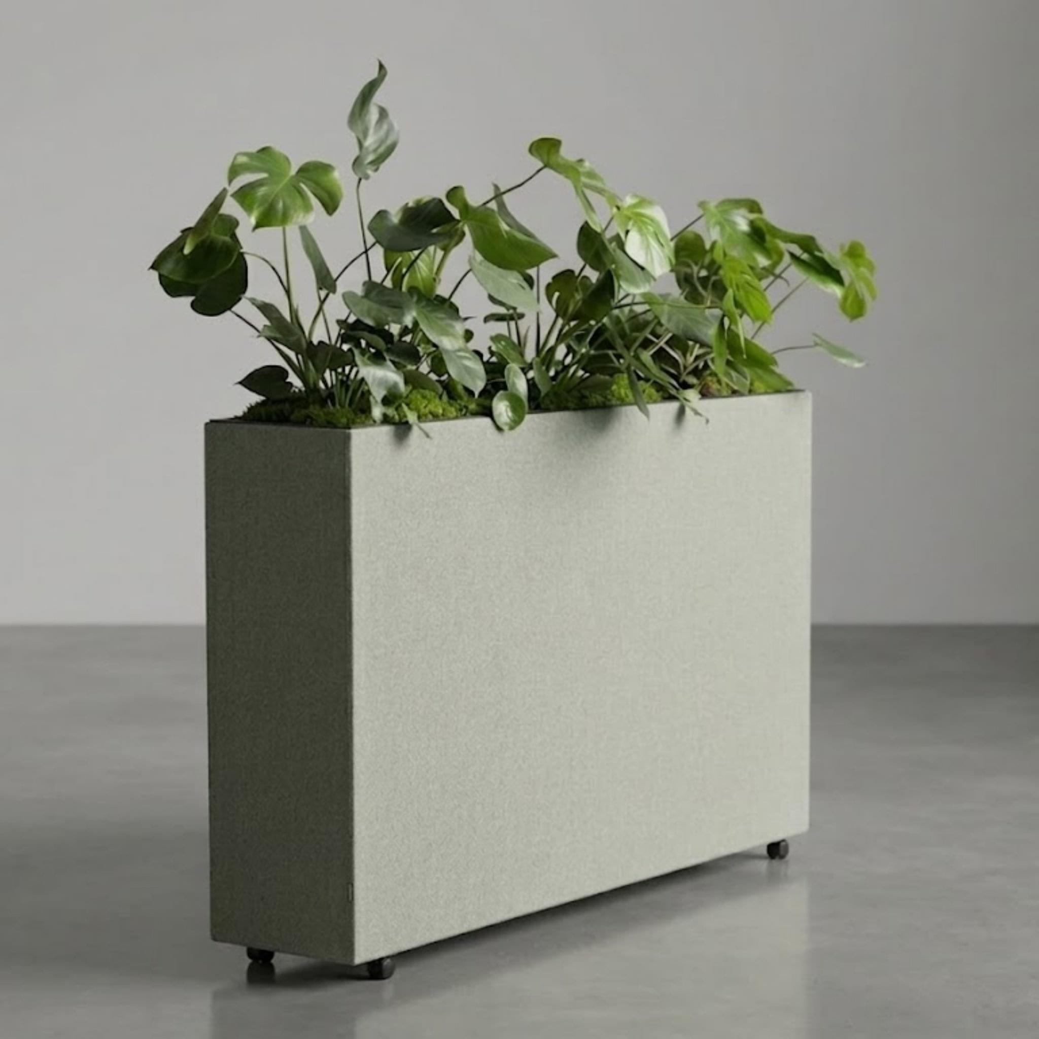 Moderne, geluidsabsorberende stoffen akoestische plantenbak op wieltjes, gevuld met Monstera planten.