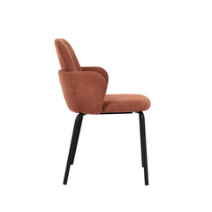 Paddy Stoelen Set van 2